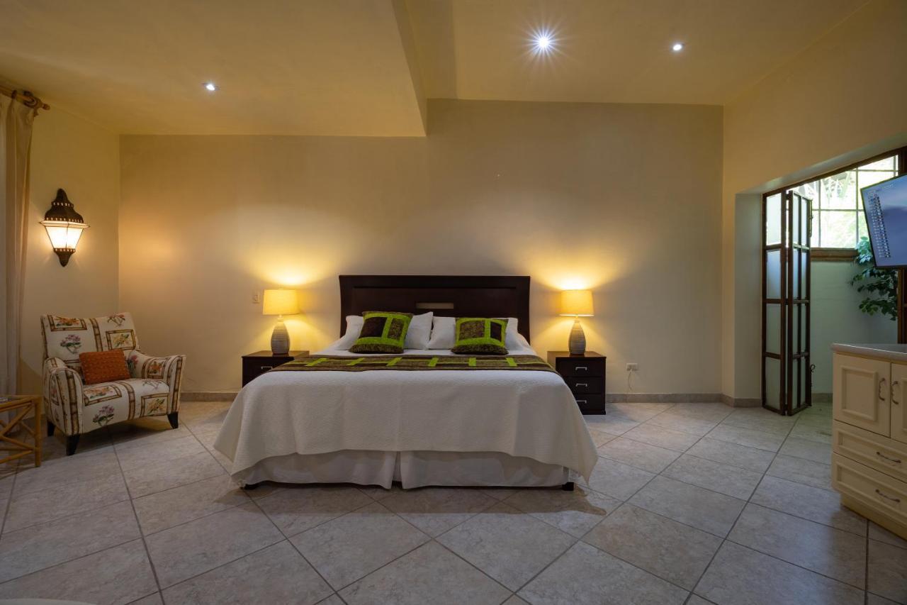 Casa Las Palmas, San Miguel De Allende Cieneguita 外观 照片